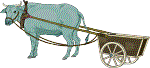 OX